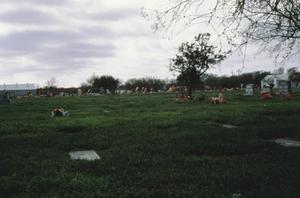 [Rose Hill Cemetary, (new section)]