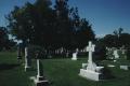 Photograph: [Llano Cemetery, (Fuqua Family Plot, cast iron fence & urn)]