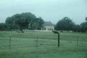 [Edward & Texana Tewes House, (view from the road)]