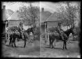 Primary view of [Man on Horse]