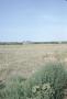 Primary view of [Fort Elliot Prairied Dog Town]
