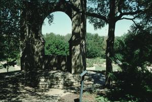 Primary view of object titled '[Zilker Gardens, (Butler Window looking North)]'.