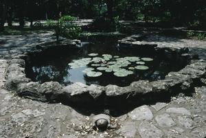 [Mayfield-Gutsch House & Gardens, (pond)]
