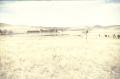 Photograph: [Faver Ranch - Cibolo, (view toward NW)]