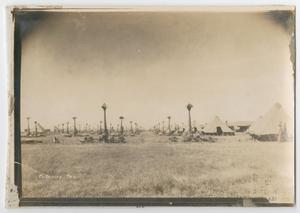 [Photograph of Early Tents and Palm Trees]