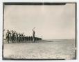 Primary view of [Photograph of the A.A.T.C. Band and TA2 Troops]