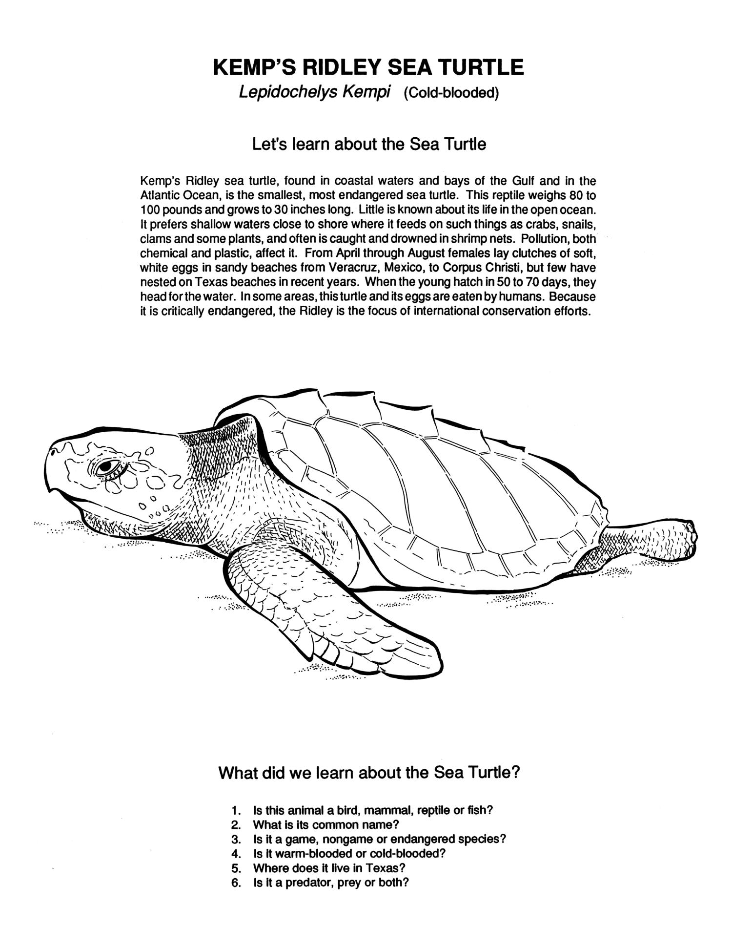 Download Texas Wildlife Coloring Book - Page 2 of 8 - The Portal to ...